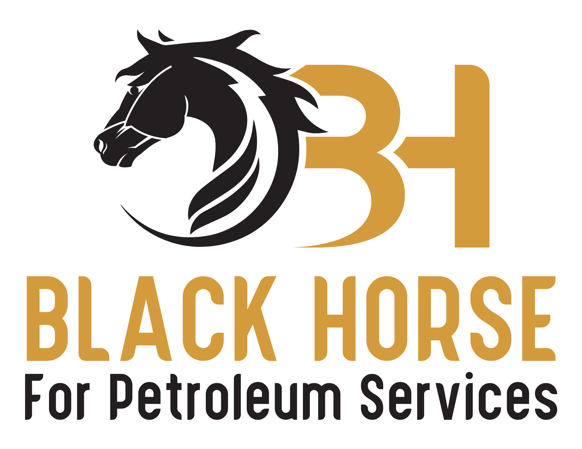 Blackhorse | بلاك هورس للخدمات البترولية و تجارة المواسير